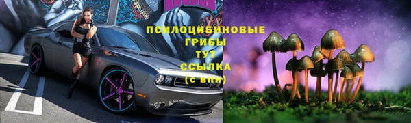 твердый Верея